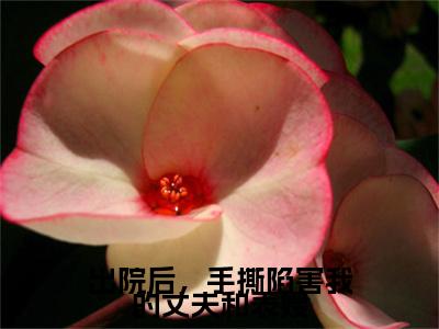 出院后，手撕陷害我的丈夫和表嫂小说完结篇(付慎行)（出院后，手撕陷害我的丈夫和表嫂）全书无套路阅读无广告小说大结局
