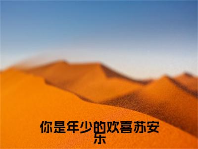 顾瑾行苏安乐小说无删减阅读无干扰（你是年少的欢喜苏安乐）番外+续集