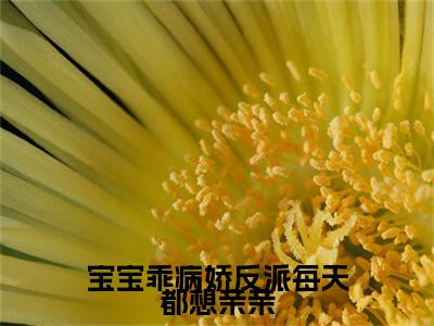 傅陌白冉柔后续（宝宝乖病娇反派每天都想亲亲）全篇在线阅读前传