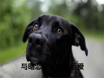 与暗恋对象先婚后爱了后续（江疏月商寂）全文在线下载在线+纯净版结局