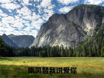 （书荒必看）贺知砚司云溪南风替我说爱你：+后续热血十足