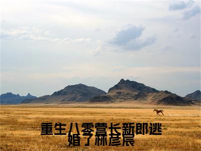 宋清浅林彦宸小说全文免费阅读（重生八零营长新郎逃婚了林彦宸）全文免费阅读无弹窗_宋清浅林彦宸小说全文免费阅读_笔趣阁