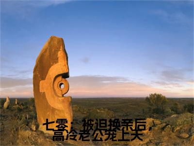 陆清萍傅尧七零：被迫换亲后，高冷老公宠上天彩蛋小说结尾+附加（七零：被迫换亲后，高冷老公宠上天）清爽版阅读