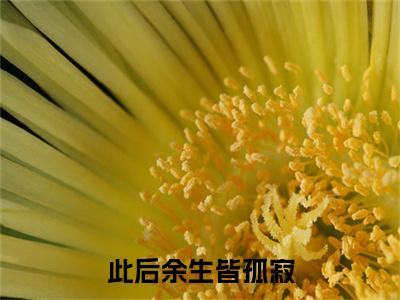 小说此后余生皆孤寂(此后余生皆孤寂)已更新+无删减（温知夏谢清野）