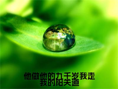 （书荒必看）他做他的九千岁我走我的阳关道小说TXT无套路阅读