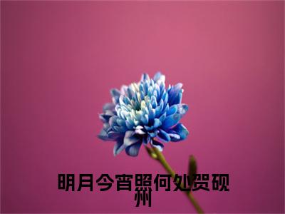 鹿嘉禾贺砚州：结局+番外新上热文（明月今宵照何处贺砚州）全篇免费版在线+无障碍结局