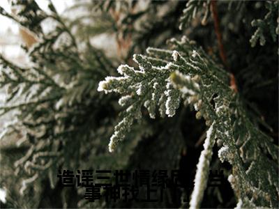 江漾重黎：+后续无删版（造谣三世情缘后，当事神找上门了）终章阅读无广告