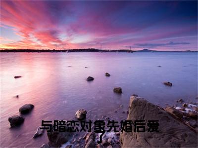 江疏月商寂小说（与暗恋对象先婚后爱了）起点章节+全篇阅读热门作品预订