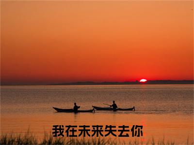 （我在未来失去你）我在未来失去你小说(周靳松林允言)整书在线无广告高口碑小说