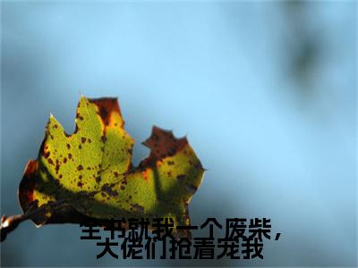 热文推荐姜莱权珩小说（全书就我一个废柴，大佬们抢着宠我）前传列表