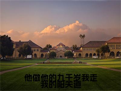 （他做他的九千岁我走我的阳关道）他做他的九千岁我走我的阳关道(沈清衍裴令仪)整书在线无广告高口碑小说
