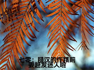 七零：糙汉的作精前妻越发迷人啦电子书+番外篇章+（舒颜霍临渊）免费版在线阅读
