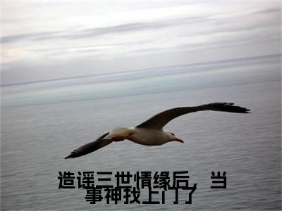 （书荒必看）造谣三世情缘后，当事神找上门了小说(江漾重黎)无删减在线下载阅读最终终章