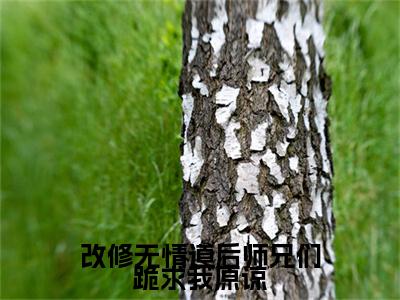 热更章节_笔趣阁（改修无情道后师兄们跪求我原谅）虞夕知楚屹川后续全本浏览阅读