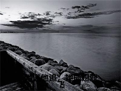 高分_尹曼筝肖振霖小说(她逃他追，她插翅就飞)（尹曼筝肖振霖）全本完整阅读