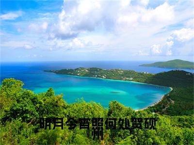 新章速递明月今宵照何处贺砚州是什么小说(鹿嘉禾贺砚州)完本阅读无广告（明月今宵照何处贺砚州）