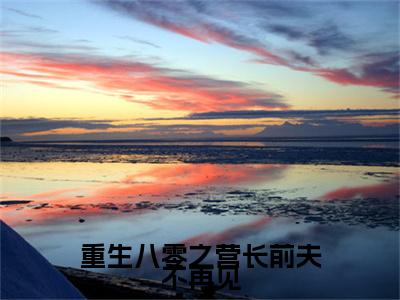 闻思棠莫彧声重生八零之营长前夫不再见完结篇全篇阅读无广告（重生八零之营长前夫不再见）番外+续集