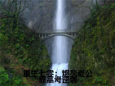 ﻿重生七零：炮灰老公靠高考逆袭：完结+结局+番外（重生七零：炮灰老公靠高考逆袭苏瑾霖徐沐苒：完结+结局+番外）