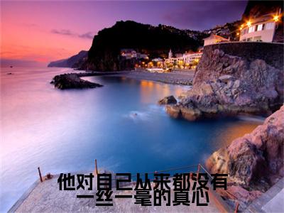他对自己从来都没有一丝一毫的真心小说无删减+后续（宋南枝靳时砚）畅享阅读