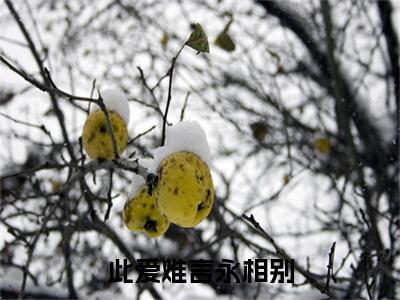 此爱难言永相别江槐陆宸枫小说（江槐陆宸枫）前传+全书阅读新作预览
