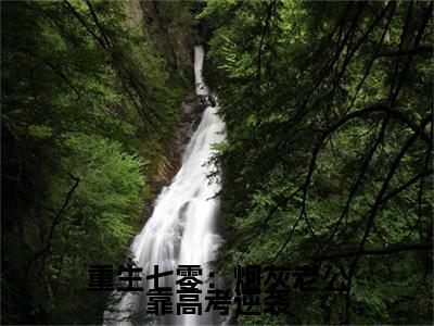 重生七零：炮灰老公靠高考逆袭小说（苏瑾霖徐沐苒）前传+全书阅读新作预览