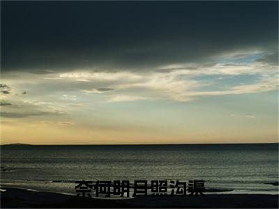 高分_奈何明月照沟渠(贺照野温婉婉)（奈何明月照沟渠）全本完整阅读