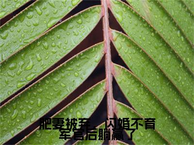 肥妻被弃，闪婚不育军官后躺赢了是什么小说(赵梦琪)（肥妻被弃，闪婚不育军官后躺赢了）全本完整清爽版在线+无广告结局