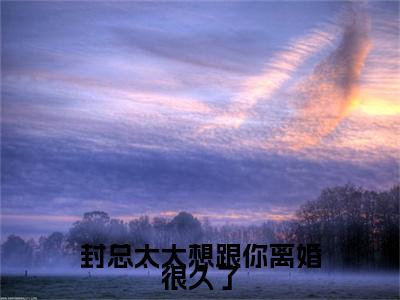封总太太想跟你离婚很久了特别篇章节目录+章节前文（封庭深容辞）TXT清爽版在线