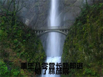 独家宋清浅林彦宸小说小说大结局（重生八零营长新郎逃婚了林彦宸）全篇在线下载阅读