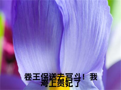 独家卷王保送去宫斗！我考上贵妃了小说小说大结局（江疏月）全篇在线下载阅读