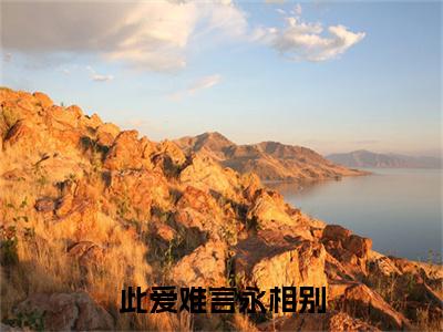 前传江槐陆宸枫续集(江槐陆宸枫)终章阅读极简（江槐陆宸枫）