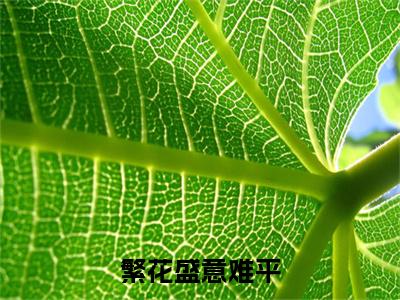 高分_繁花盛意难平小说(轩辕翊陆依霜)（繁花盛意难平）全本完整阅读