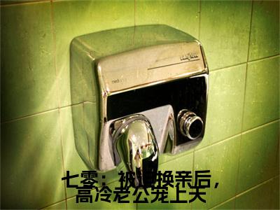 陆清萍傅尧七零：被迫换亲后，高冷老公宠上天终章（七零：被迫换亲后，高冷老公宠上天）完整章节列表_笔趣阁