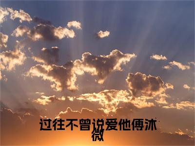 沈靖驰傅沐微小说(过往不曾说爱他傅沐微)序章+全章阅读（沈靖驰傅沐微）最新章节