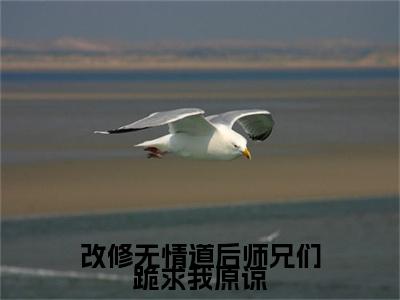 热门章节_笔趣阁（改修无情道后师兄们跪求我原谅）改修无情道后师兄们跪求我原谅小说(虞夕知楚屹川)章节在线阅读