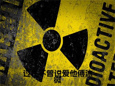 过往不曾说爱他傅沐微小说完本章节前文+全篇阅读（沈靖驰傅沐微）连载中