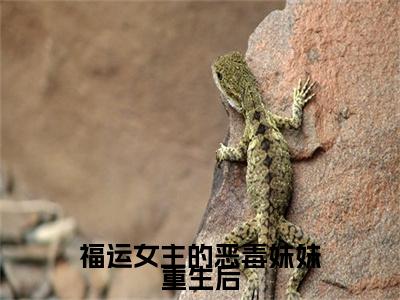 福运女主的恶毒妹妹重生后(顾知灼)整本+后续+（福运女主的恶毒妹妹重生后）结局在线阅读