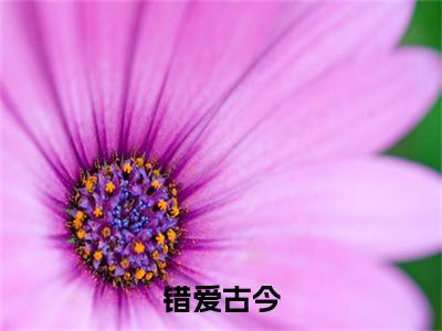 林暖暖楚修运(错爱古今)（林暖暖楚修运）全书+后续+结局在线阅读