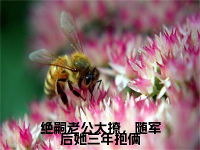 傅斯年沈黎(绝嗣老公太撩，随军后她三年抱俩)（傅斯年沈黎）前传+阅读全新作品预订
