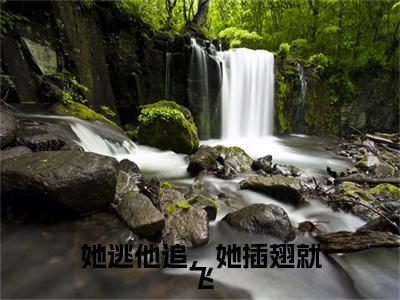 她逃他追，她插翅就飞尹曼筝肖振霖小说章节目录+章节前文（尹曼筝肖振霖）TXT清爽版在线