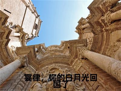 顾星晚宴矜彩蛋+起始篇章（宴律，你的白月光回国了）阅读