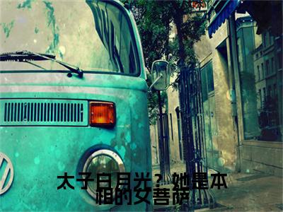太子白月光？她是本相的女菩萨完本(明舒傅直浔)（明舒傅直浔）前传+整本阅读全新作品预订