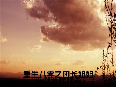 宋延巍陆晴希小说完结篇(重生八零之团长姐姐来倒追陆晴希)章节前文+全篇阅读（宋延巍陆晴希）最近更新