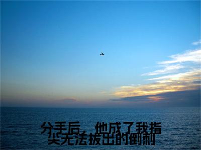 分手后，他成了我指尖无法拔出的倒刺续集(宋悠然纪宴霆)全本完整免费版_起点章节+后续（分手后，他成了我指尖无法拔出的倒刺）