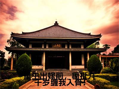 陆菀菀谢宴西小说(重生出嫁前，疯批九千岁缠我入骨！)小说结尾+隐藏篇章（陆菀菀谢宴西重生出嫁前，疯批九千岁缠我入骨！）畅享阅读