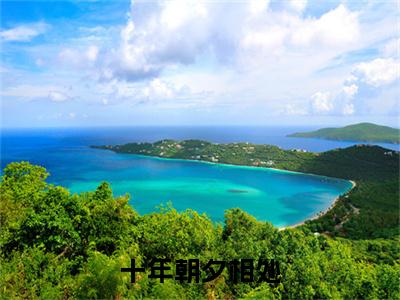 林梦意孟晚舟十年朝夕相处小说无删减阅读清爽版（十年朝夕相处）外篇+续集