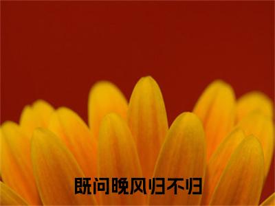 苏见晚裴肆野既问晚风归不归电子书+番外篇章+（既问晚风归不归）免费版在线阅读