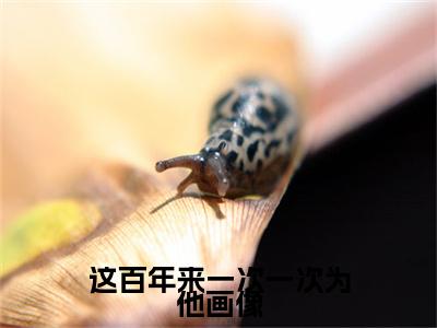 （头条）这百年来一次一次为他画像小说(夜少倾楚婉)整本免费版阅读无广告（这百年来一次一次为他画像）