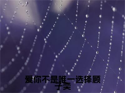 小说大结局小说爱你不是唯一选择顾子奕小说已更新+特别篇（沈绮梦顾子奕）纯净版