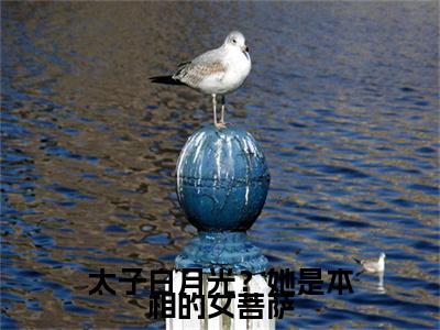 （太子白月光？她是本相的女菩萨）明舒傅直浔无删减小说在线无广告高口碑小说